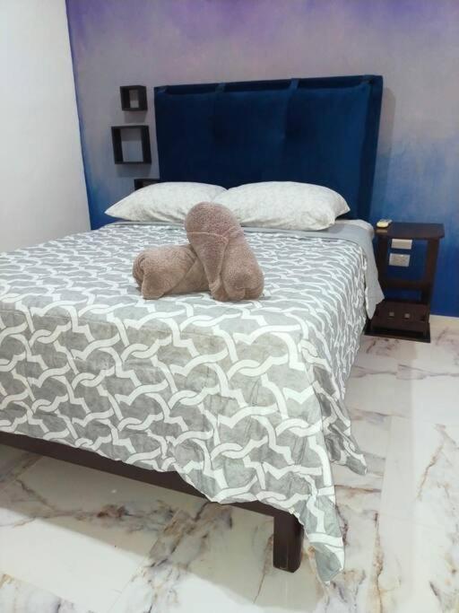 Loft Soliman - Netflix - Hbo - Near Market 28 - Downtown Cancún Eksteriør bilde